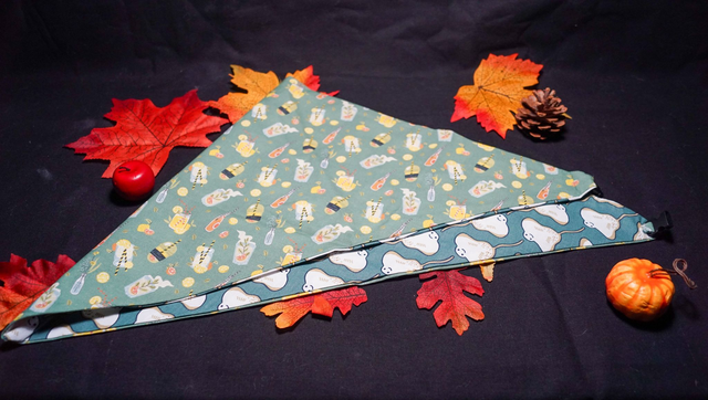 Foulard double face boisson / raie