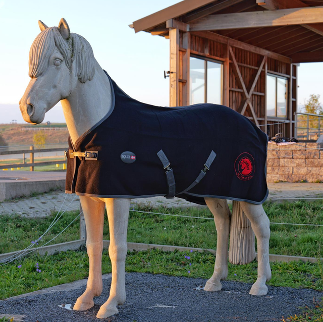 Blómatún Wolldecke 