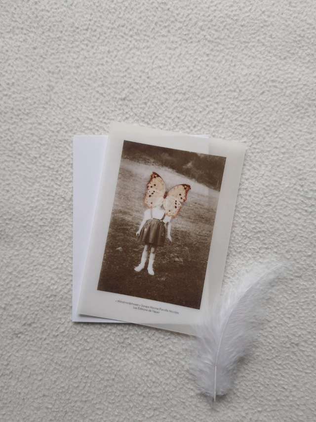 Carte - Méta(mor)phoses