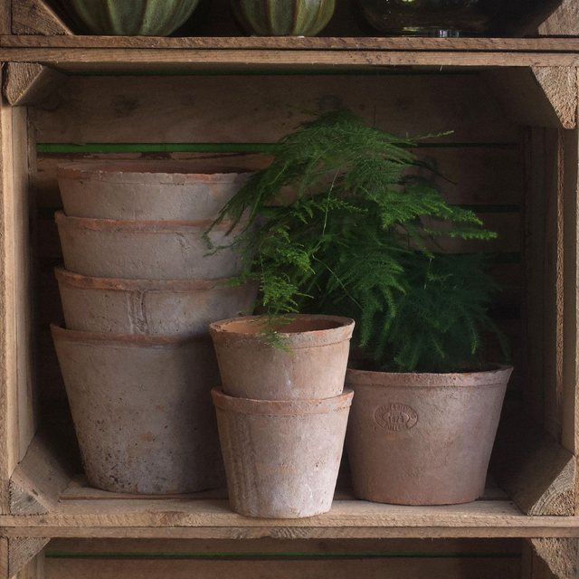 Aged Terracotta Wide Pots