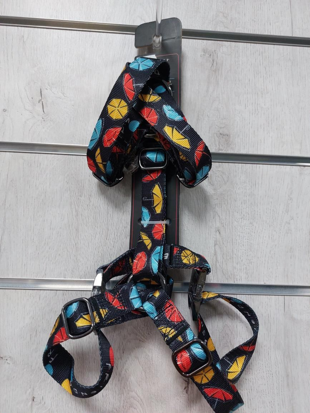 Arnés H Educativo ( Friends) En tallas S,L,M