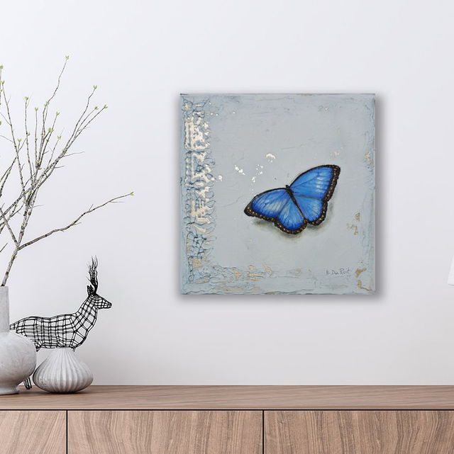 Farfalla Morpho peleides