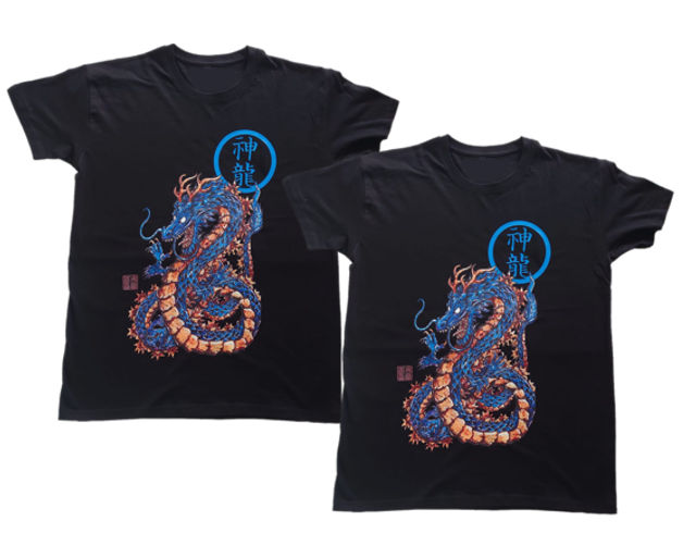 Lot de 2 T-shirts