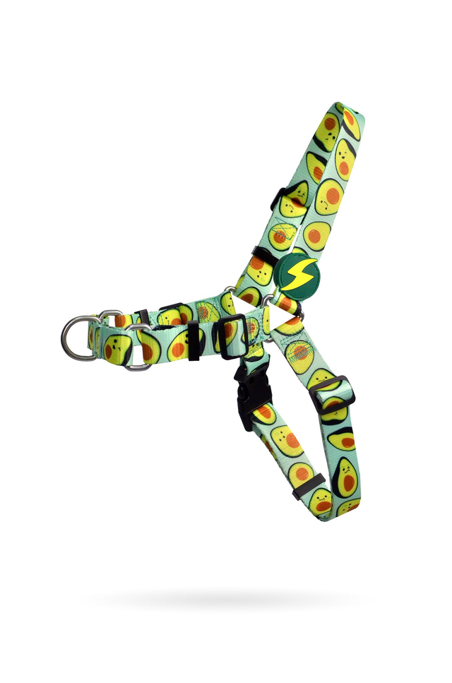 Avocado Front harness