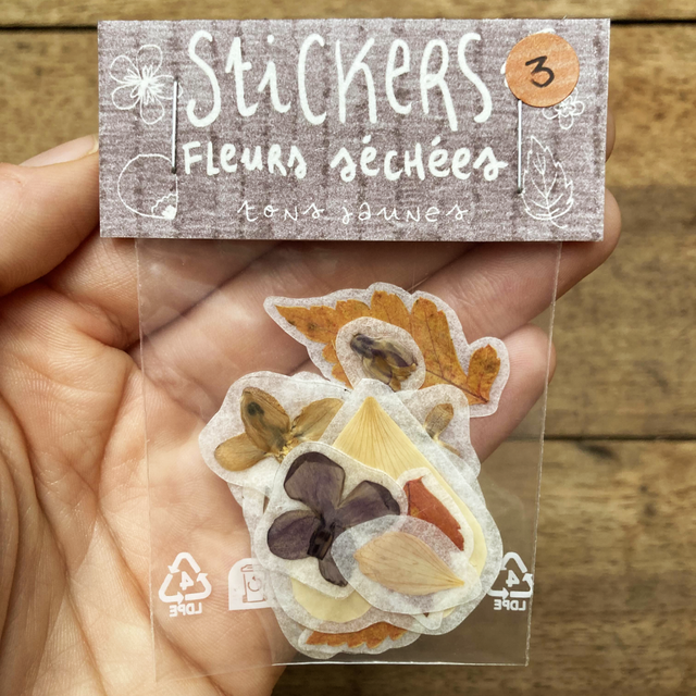 Stickers fleurs séchées - tons jaunes
