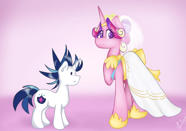 Beautiful bride and Ugly groom 