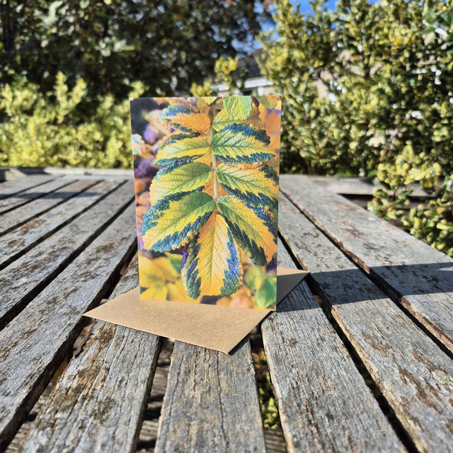 Rosa Rugosa Autumn leaf greetings card