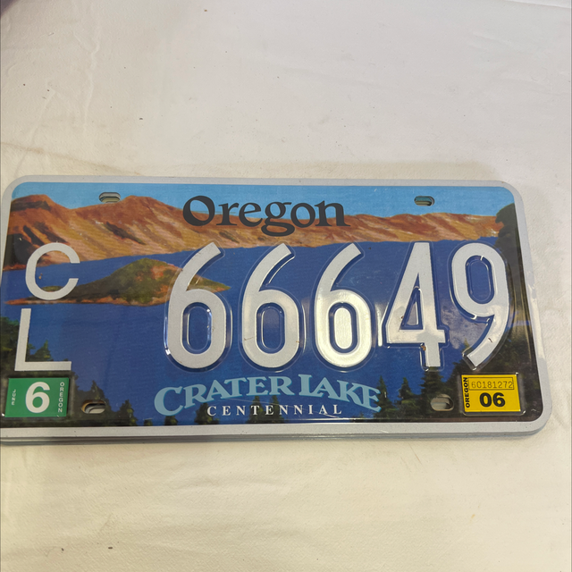 plaque d’immatriculation décorative 