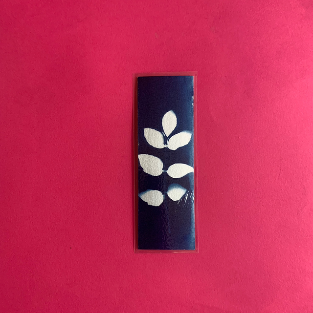 Marque page cyanotype végétal original sur papier épais et plastifié