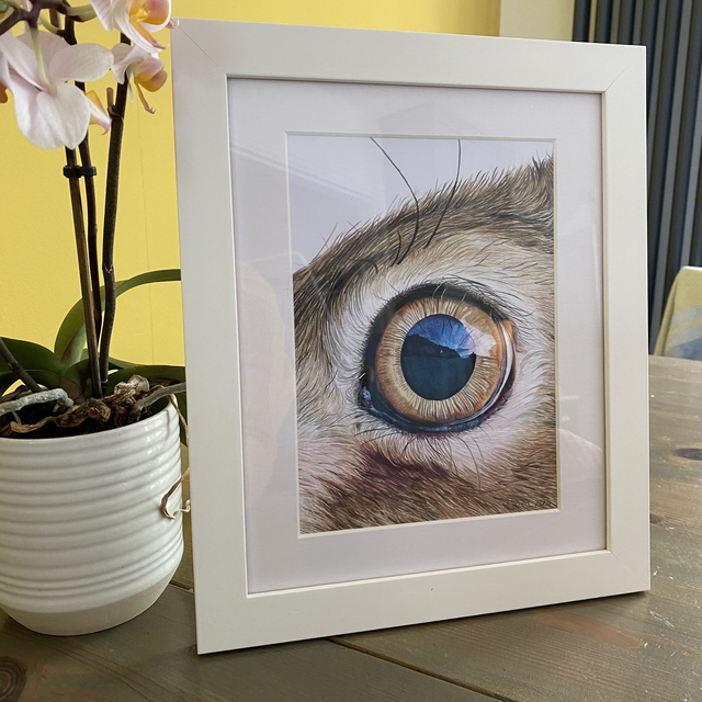Hare Eye Original Drawing