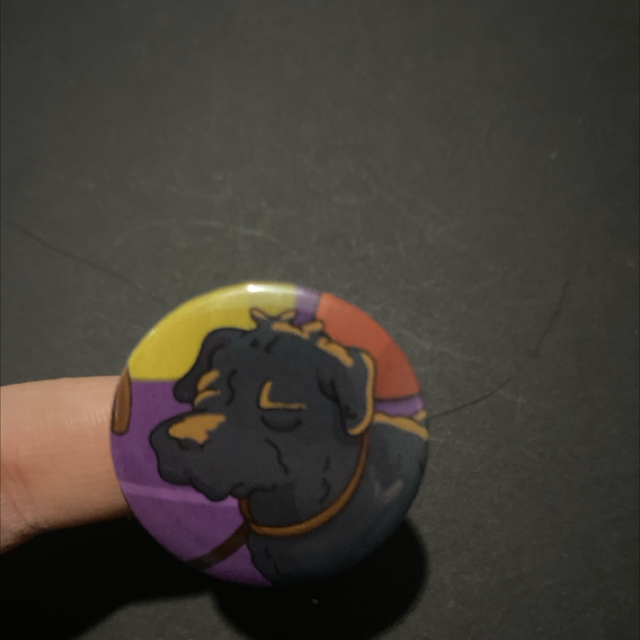Badge #26