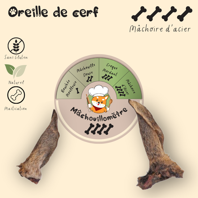 Oreille de cerf