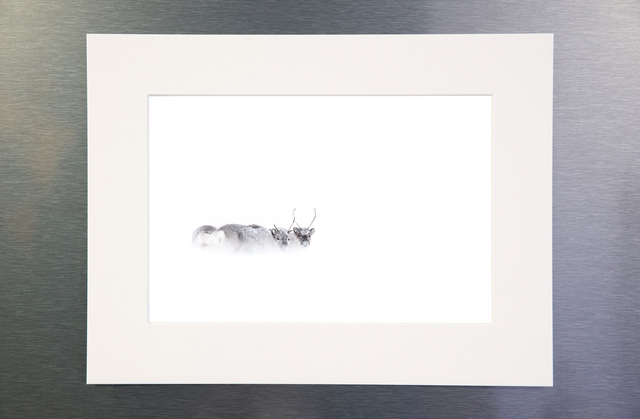 Photo &quot;La rencontre&quot; avec passe-partout