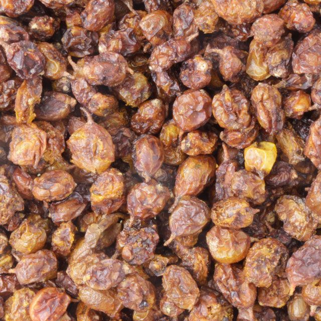 Duindoornbes (sea buckthorn berry) (Hippophae rhamnoides) - BIO