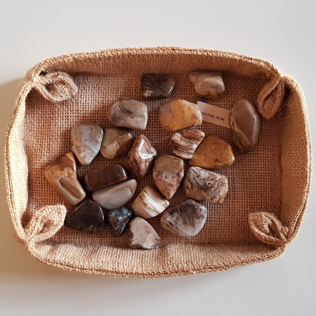 Bois Fossilisé / pierre semi-précieuse