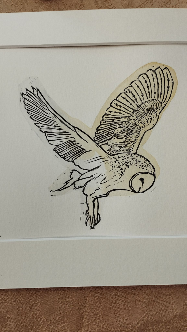 Illustration Oiseau chouette Effraie des Clochers en linogravure et aquarelle