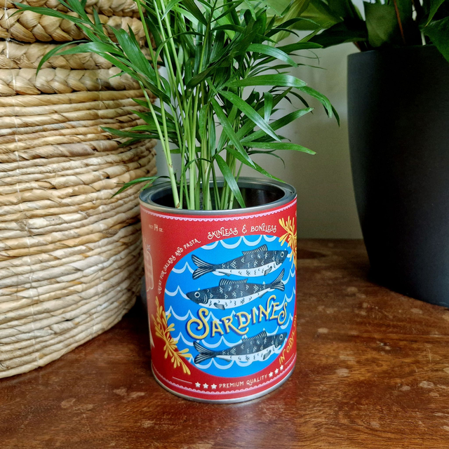 Sardines Retro Style Storage Tin 