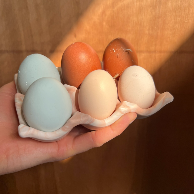 All You Can Pour workshop | 14 March 2026 | 12.30-3pm | The Bottle and Glass Barn