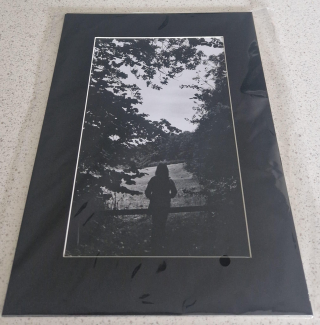 Wetlands Visitor A4 Mounted Analogue Print