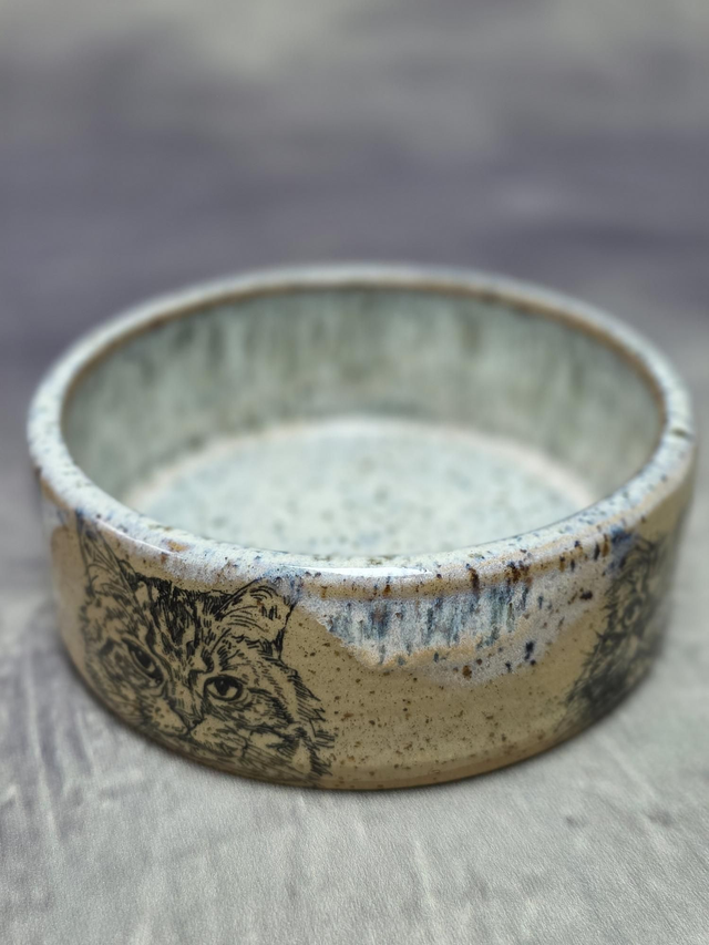 Cat Bowl 02