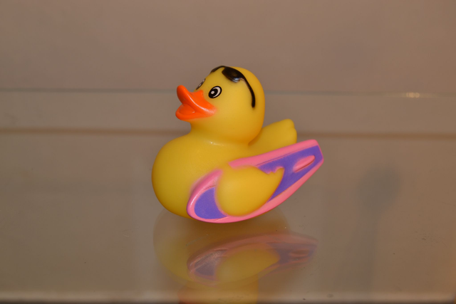 Canard surfeur