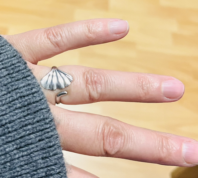 ❤️Feuille de Ginkgo Argentée