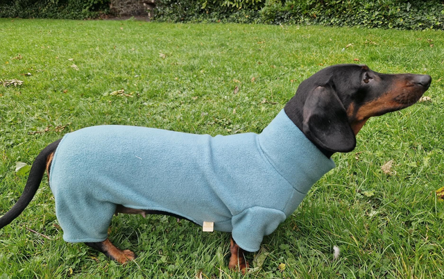 Dachshund fleece onesie