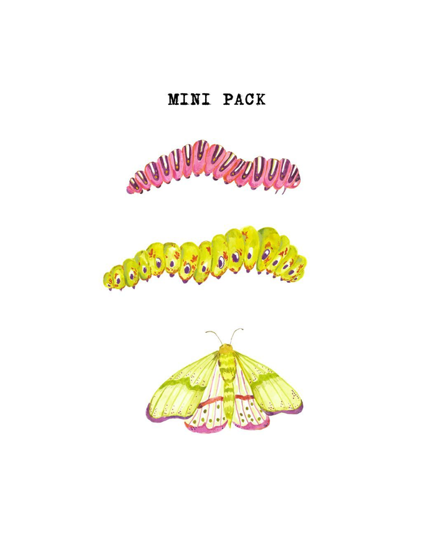Mini pack stickers insectes 