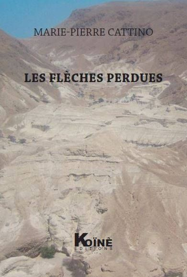 Les flèches perdues de Marie-Pierre Cattino