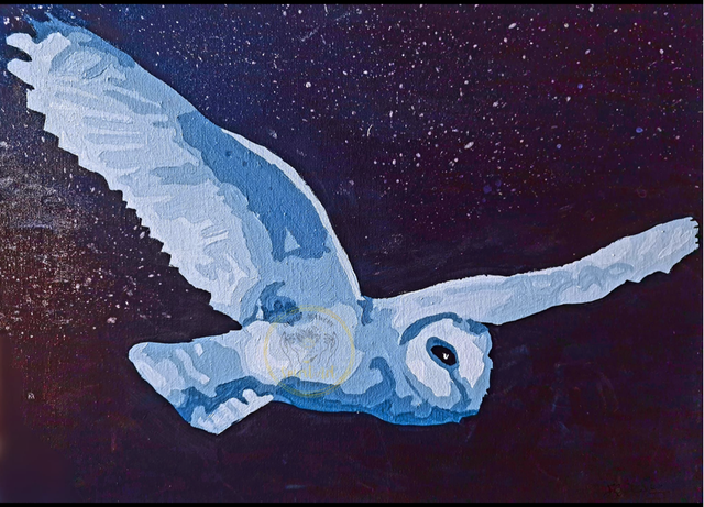Barn Owl In Flight