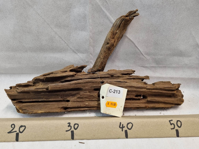 Racine Mangrove C-213