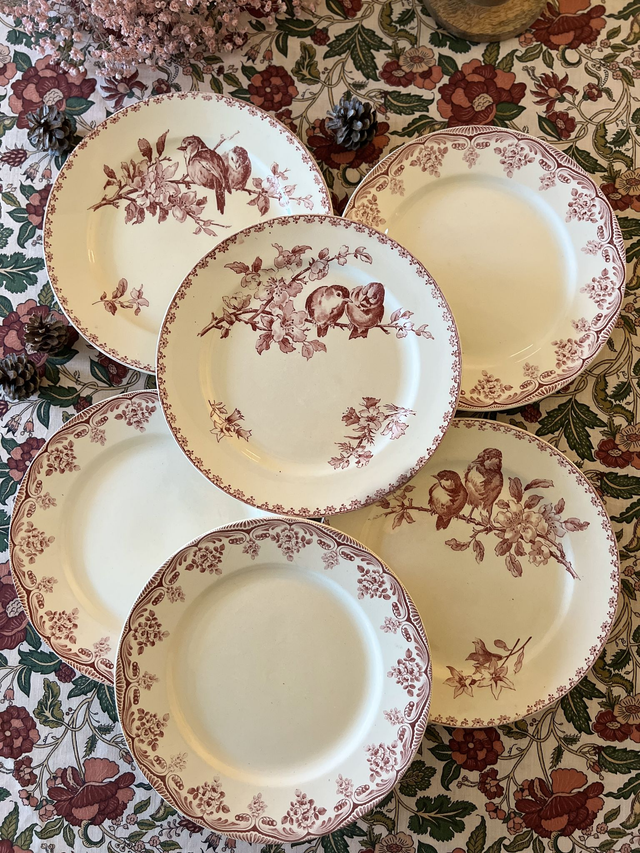 FAVORI - Suite de 6 assiettes plates dépareillées modèles Favori et Bordeaux - Terre de Fer