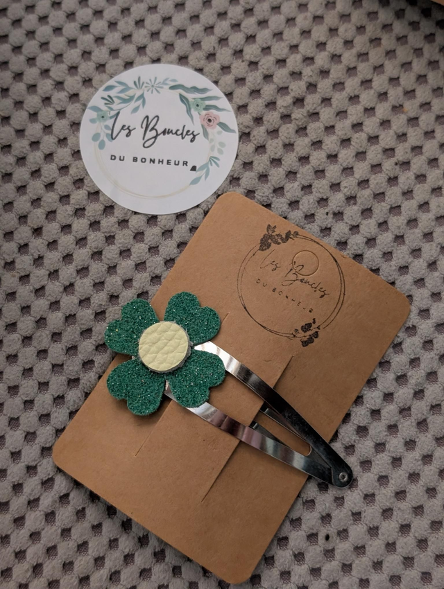 Barrette b039
