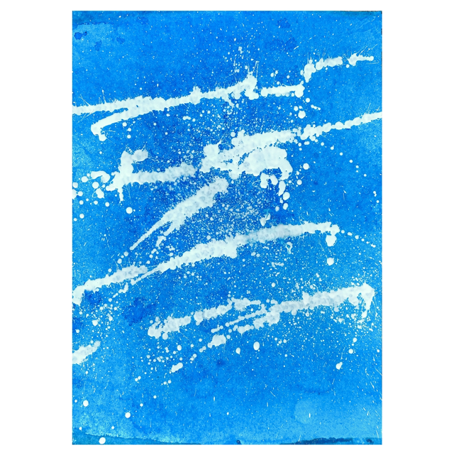 Zorro (Iconothèque)- 29x42cm / 2025