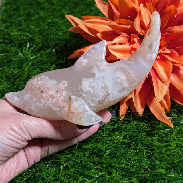 Flower Agate Dolphin 🐬