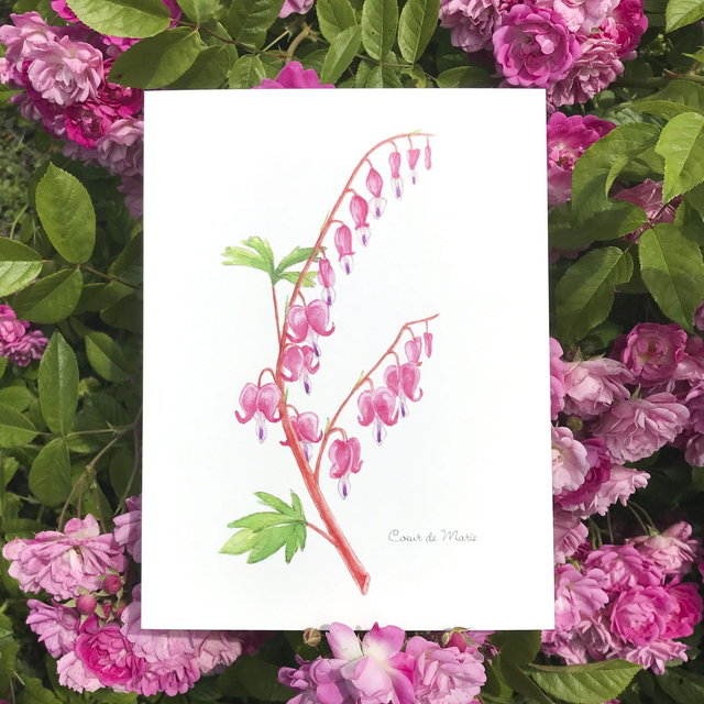 Coeur de Marie 18x24cm