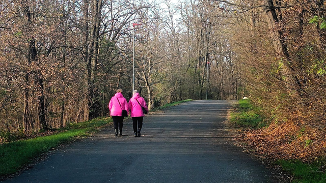 Fotografia dokumentárna - 1 súbor