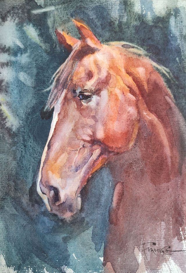 Koń, 30x21 (21x15 w świetle passe-partout) akwarela