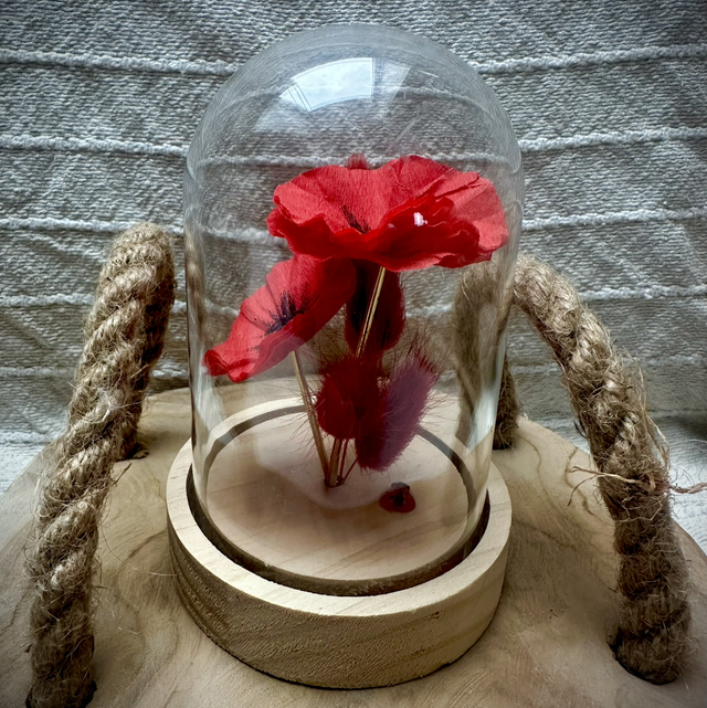 Coquelicot sous cloche pompon rouge
