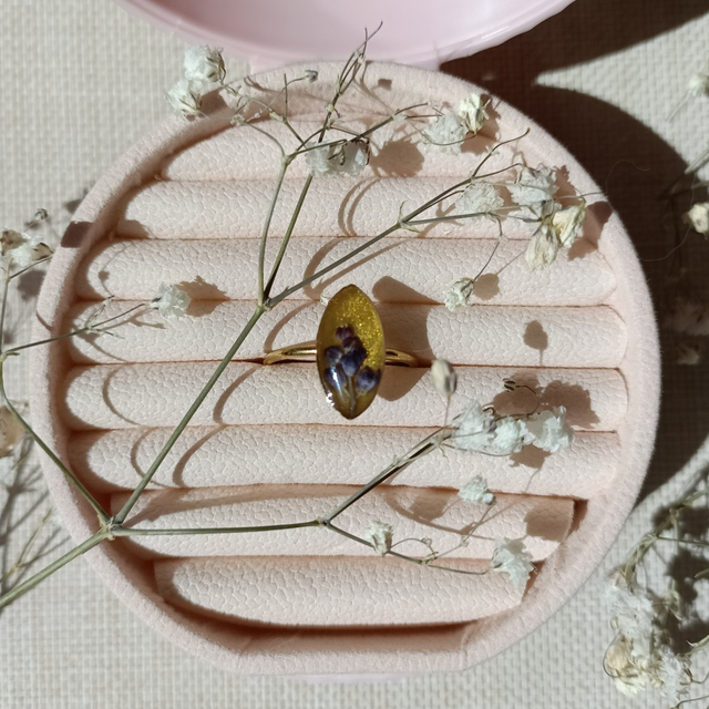 Musa - Élégance de muscaris