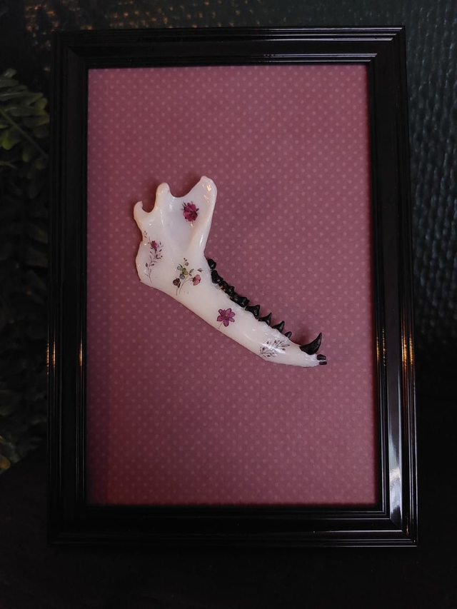 Cadre noir avec une mâchoire de renard en résine 