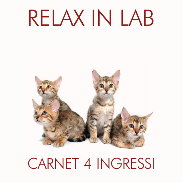 RelaX in LAB - carnet