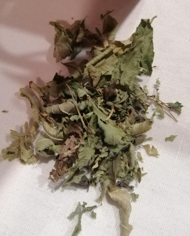 Verveine citronnelle 10g