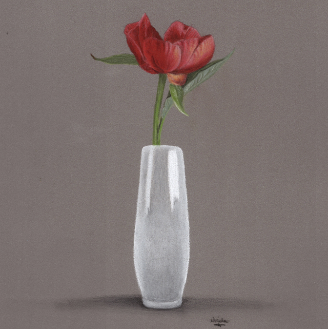 Tulip in a Vase