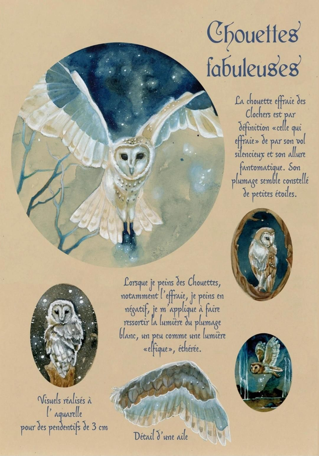 Chouettes fabuleuses fiche à thème féerique