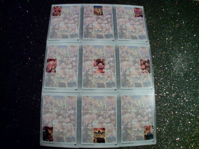 WrestleMania Slam Attax Live Original Trading Card Full Set 380 To 388