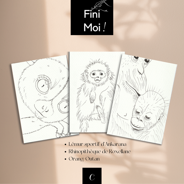 Lot Primates 1