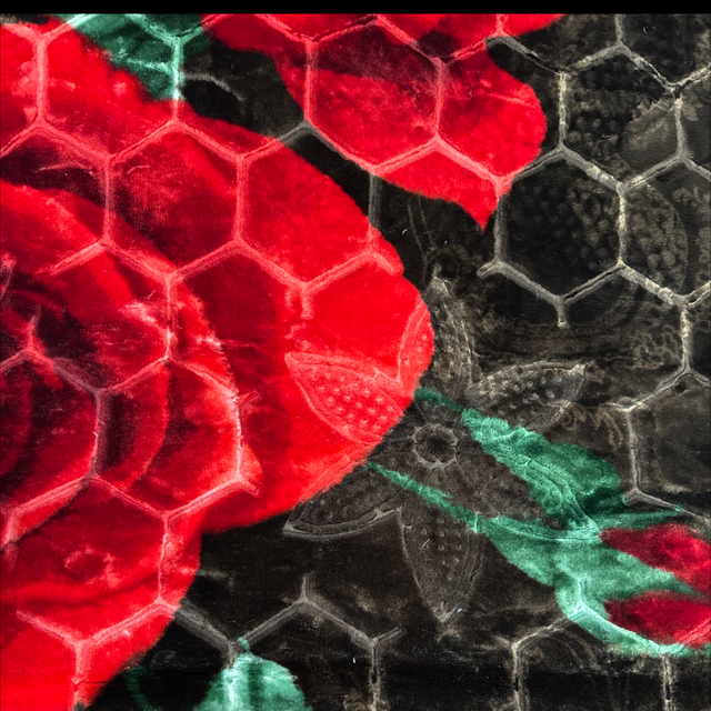 Couvertures, polaire 4kg 200/240 doublé face marron,rouge/nid d’abeille/grisfoncé