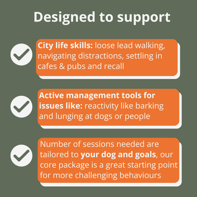 CORE TRAINING & BEHAVIOUR PACKAGE