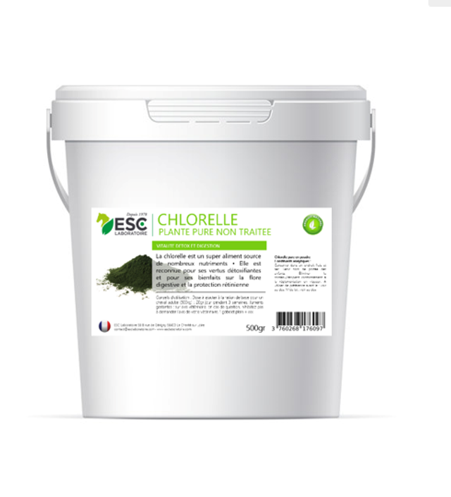 CHLORELLE – Détox et immunité cheval – Algue pure